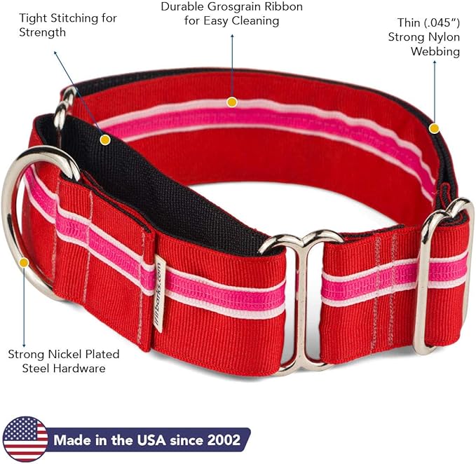 If It Barks - 1.5" Martingale Collar for Dogs - Adjustable - Nylon - Strong and Comfy - Ideal for Training - Made in USA - Medium, Shortcake