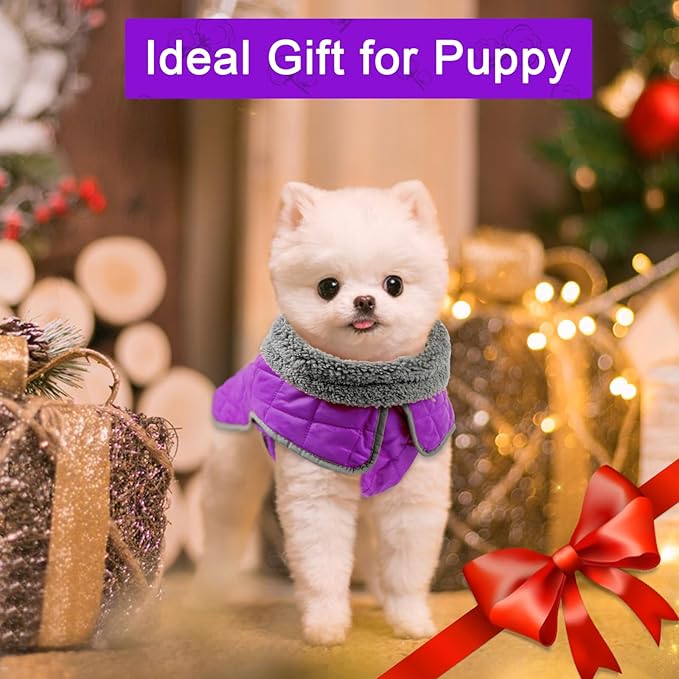 Fragralley Dog Winter Coat, Waterproof Windproof Reflective Fleece Jacket with Harness Hole, Warm Snow Vest for Small Medium Large Dogs, Ideal Gifts