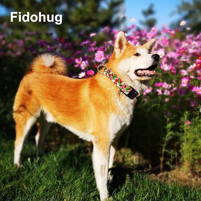 Martingale Collar for Dogs with Buckle Floral No Pull Adjustable Nylon Limited Slip Training Dog Collars (Pink Tulip, Small)