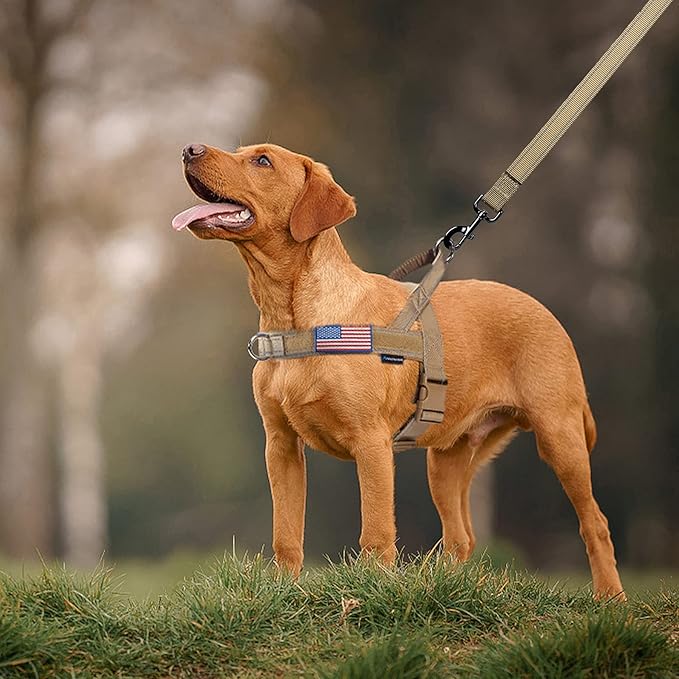 Annchwool No Pull Dog Harness with Soft Padded Handle-Reflective Strip Escape Proof and Quick Fit to Adjust Dog Harness-Easy for Training Walking for Small & Medium and Large Dogs(Brown,S)