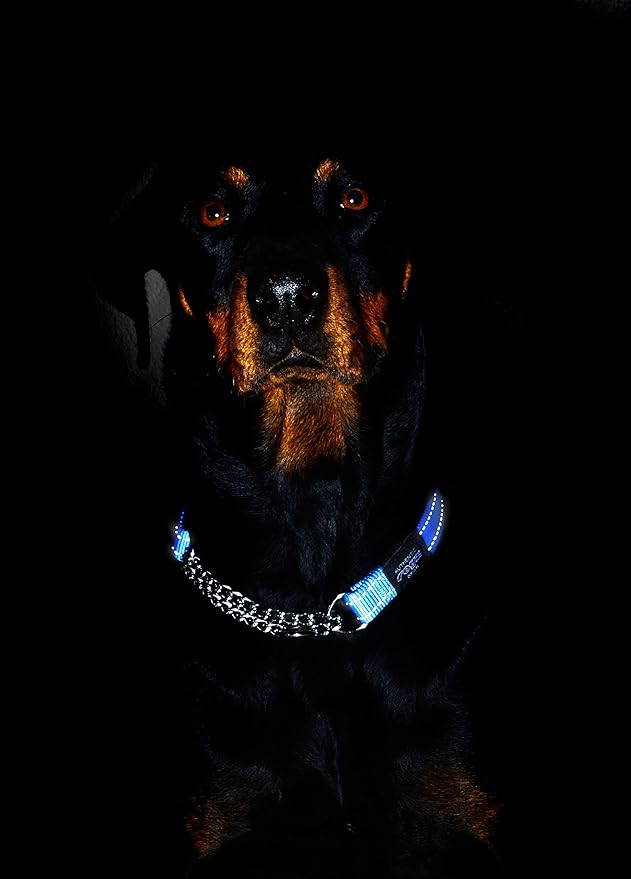 Reflective Nylon Choke Collar; Slip Show Obedience Training Gentle Choker for Medium Dogs, Green
