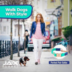 Jelly Colorful Dog Leash, Waterproof Training Leash for Walking, Hiking & Outdoor Activities, Non-Slip Grip, Anti-Odor Nylon Lead with Alloy O-Ring, Heavy Duty - M150, 5FT - Turquoise & Blue, M