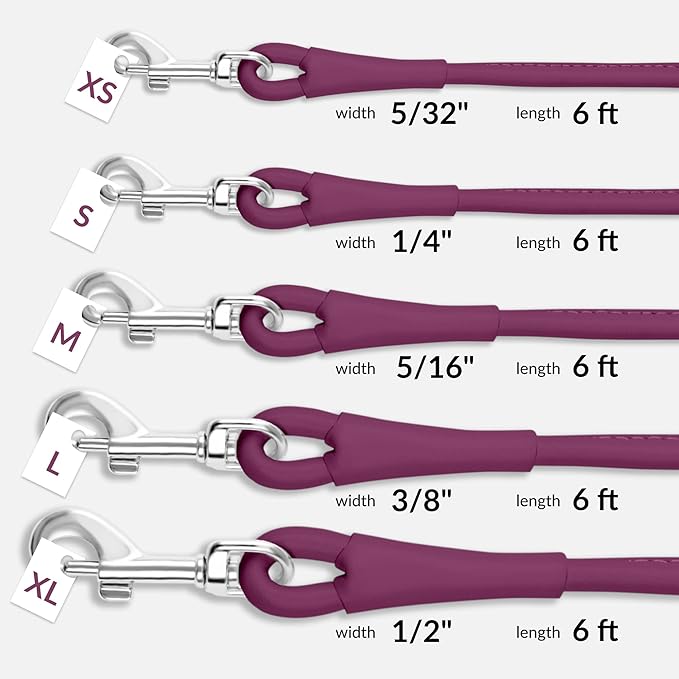 CollarDirect Rolled Leather Dog Leash 6ft, Soft Training Leather Dog Leash for Puppy and Grown Dog Small Medium Large Black Blue Red Orange Green Pink White (Pink, Size XL 6ft)