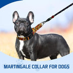 Kazazoo Martingale Collar for Dogs with Quick Release Buckle Adjustable Soft Durable Dog Collar for Small Medium Large No Pull Training Dog Collars-Maple Leaf S