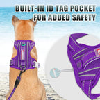 BARKBAY No Pull Dog Harness Large Reflective Dog Harness with Front Clip and Easy Control Handle for Walking Training Running with ID tag Pocket(Purple,M)