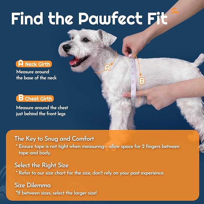 Eagloo Small Dog Harness and Leash Set, Step in Puppy Vest with Breathable Soft Mesh, Walking Reflective Pet Harness for Small Dogs, Blue, XS