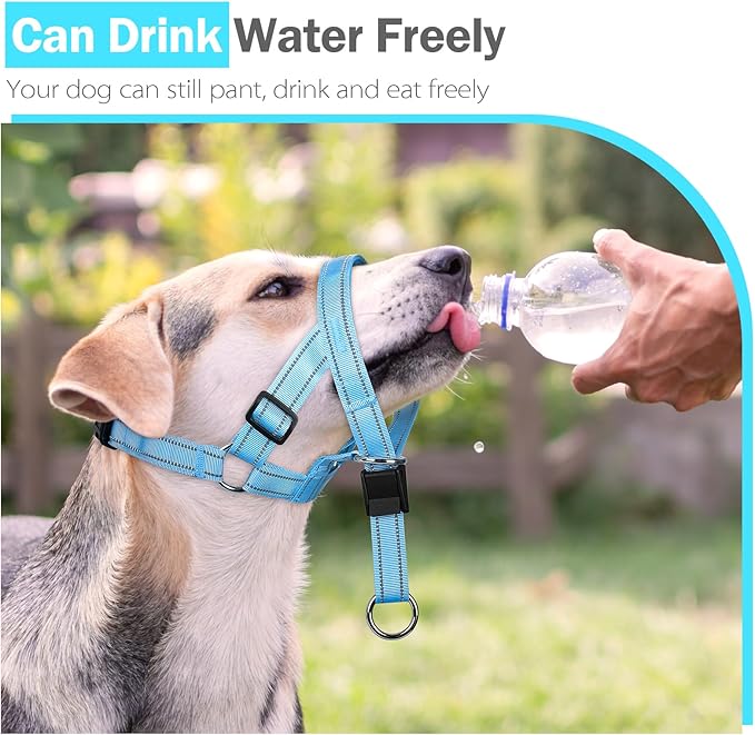 Weesiber No-Pull Dog Head Collar, Adjustable Dog Muzzle Leash Padded Head Halter Training Nose Leash, Easy Control for Walking (Blue,L)