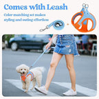 rabbitgoo Dog Harness Small Sized and Leash Set, Step in Soft Light Puppy Vest, Breathable Mesh Pet Harness, Reflective for Safe Easy Walking, Blue & Orange S