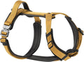 PawsPassion Dog Harness for X-Large Dogs, No Pull Dog Harness Easy Walk with Metal Hardware, Ergonomic Y-Shaped Design, Soft Padding, Padded Handle, Durable High-Tensile Nylon (Sunrise, XL)