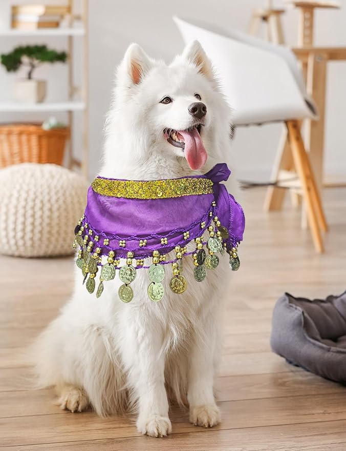 Dog Belly Dancer Costume - Puppy Outfit with Sequin Waist Chain & Hip-Shaking Skirt - Ideal for Corgi and Puppy Birthday Parties or Halloween Celebrations(Small,Purple)