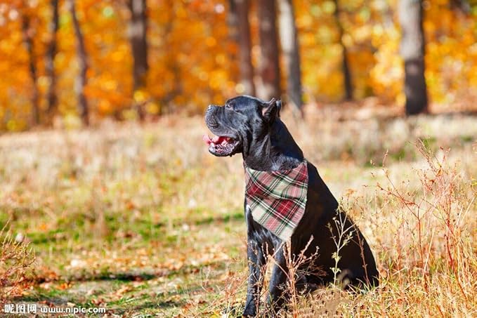 Elegant Little Tail Christmas Bandana - 1PCS Plaid Pet Bandana Washable Reversible Cotton Boy Bibs Scarf, Adjustable Square Kerchief for Small to Large Dogs and Cats