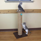 Kitty City Tall Sisal Cat Scratching Post, 32” Durable Scratcher with Sturdy Base & Hanging Jingle Toy, Easy Assembly, Furniture Protection for Indoor Cats - Brown