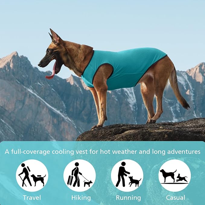 2 Pack Cooling Shirts for Dogs, Lightweight Mesh Breathable Dog Shirt for Small Dogs Boy, Sun-Protection Sleeveless Shirts for Dog&Cat Puppy Vest Pet Apparel P23ST00604L