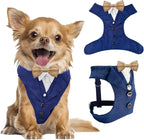 AVERYDAY XS Pet Tuxedo Harness, Wedding Costume Outfit for Small Dogs, Slim Cats and Tiny Pets with 9.1" Neck, 14.2-18.9" Chest, 9" Max Head Girth, Formal Suit Costume for Mini Breeds