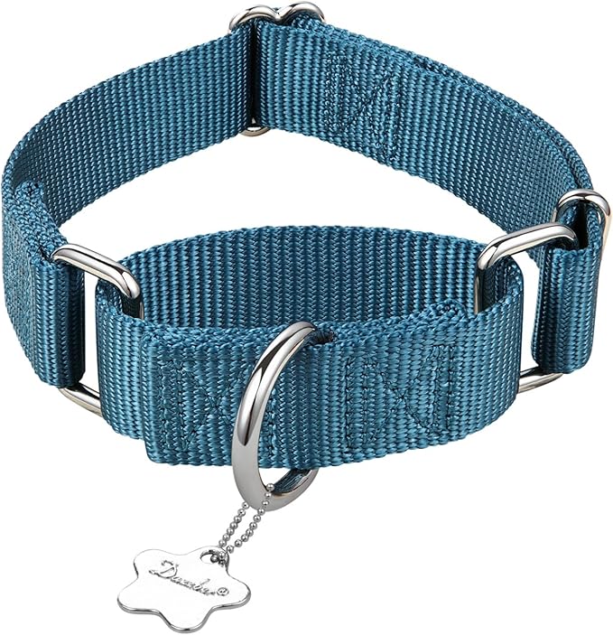 Martingale Dog Collar, No-Buckle Escape-Proof Design, Heavy-Duty Nylon and Welded D-Ring, Adjustable Training Collar for Medium Large Dogs (Haze Blue, L)