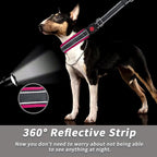 Martingale No Pull Dog Collar for Large Medium Small Dogs, Heavy Duty Nylon Reflective Adjustable Anti Pull Slip Collar with Buckle for Training Walking M Black Hot Pink