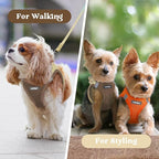 rabbitgoo Small Dog Harness, Step-in Soft Mesh Puppy Vest with Safety Buckle, Breathable Reflective Pet Harness for Small Sized Dogs, Brown & Beige XS