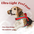 rabbitgoo Dog Harness No Pull, Quick Fit for Small Dogs with Soft Padded Handle, Chest Adjustable Reflective Pet Vest, No Choke Escape Proof for Walking Training, Red M