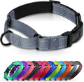 Martingale Collar for Dogs with Quick Release Buckle, Reflective Soft Padded & Escape Proof, Adjustable Nylon Dog Collars for Training & Daily Walking (Grey,L)