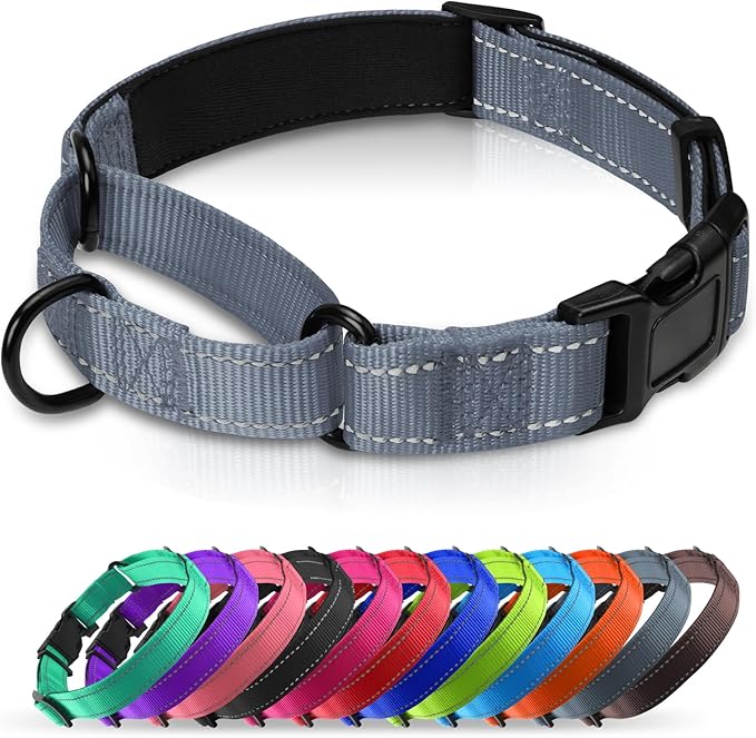 Martingale Collar for Dogs with Quick Release Buckle, Reflective Soft Padded & Escape Proof, Adjustable Nylon Dog Collars for Training & Daily Walking (Grey,L)
