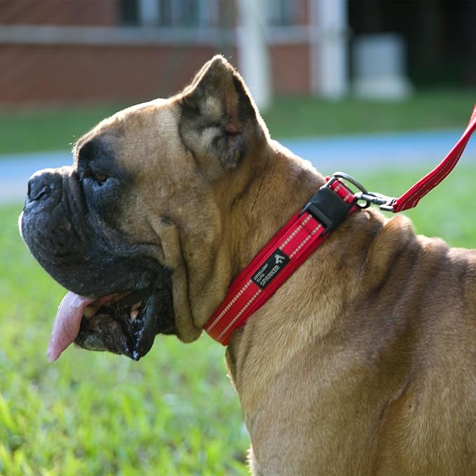EXCELLENT ELITE SPANKER Reflective Dog Collar Classic Soft Padded Breathable Nylon Adjustable Pet Collar with Quick Release Buckle for Boy Girl Male Female Small Medium Large Dogs Training(LBLU-M)