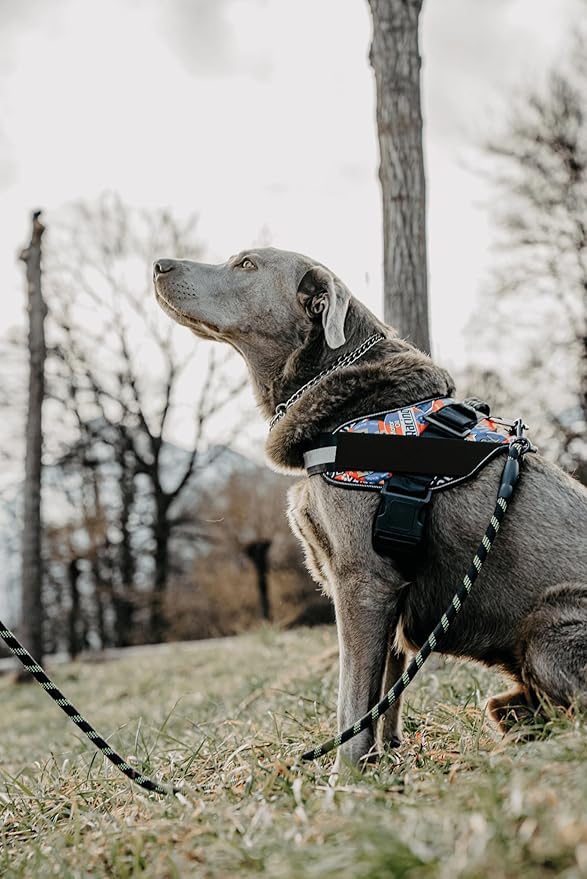 Dog Harness with Patch Panels, No Choke, Reflective, Adjustable, Soft Padded Dog Vest Harness with Easy Control Handle for Small Size Dog, Red, S