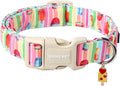 ARING PET Summer Dog Collar-Cute Popsicle Dog Collar for Small Dogs, Adjustable Multicolor Ice Cream Pet Collars Puppy Collar for Small Medium Large Dogs