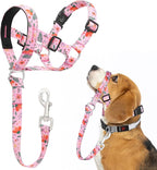 HIGO Dog Head Collar, Adjustable Head Collar for Dogs, No Pulling Head Halter, Training Nose Leash, 3 Pattern Muzzle Leash for Small Medium Large Dogs Easy Walking (Pink, S)