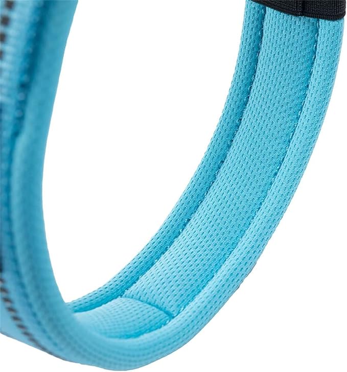 EXCELLENT ELITE SPANKER Reflective Dog Collar Classic Soft Padded Breathable Nylon Adjustable Pet Collar with Quick Release Buckle for Boy Girl Male Female Small Medium Large Dogs Training(LBLU-M)