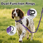 Joytale Tactical Dog Collar for Medium Dogs with Control Handle, Heavy Duty Military Training Collar for Power Breeds, AirTag Holder Case, Quick Release Metal Buckle, Soft Padded, M, Purple