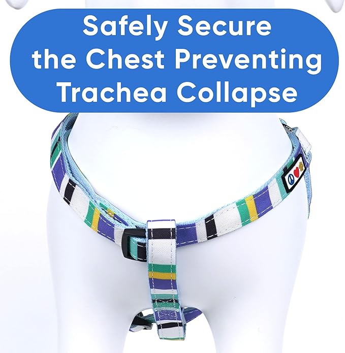 Pawtitas Multicolor Step-in Dog Harness – Adjustable No-Pull Vest for Puppies to Seniors, Safe & Comfortable S Blue/Teal/Yellow
