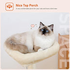 PEQULTI Cat Tree Modern Cat Tower for Indoor Cats,Multilevel Cat Play House with Large Condo, Spacious Hammock, Cozy Top Perch,Scratching Post and Dangling Balls