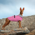 Lelepet Warm Dog Coats for Medium Dogs Waterproof Dog Winter Jacket Reflective Pet Fleece Vest Windproof Cold Weather Coats with Adjustable Buckle & Leash Hole, Pink, M