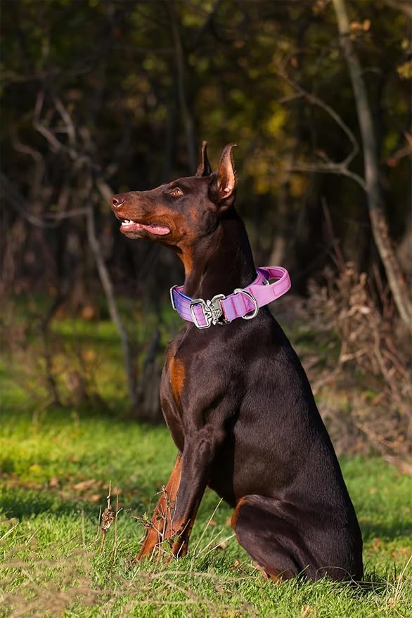 Tactical Dog Collar, 1.5" Wide Thick Heavy Duty Dog Collar with Handle, Soft Neoprene Padded Military-Grade Nylon Training Collar with Quick Release Metal Buckle for Medium Dogs (Pink, M)