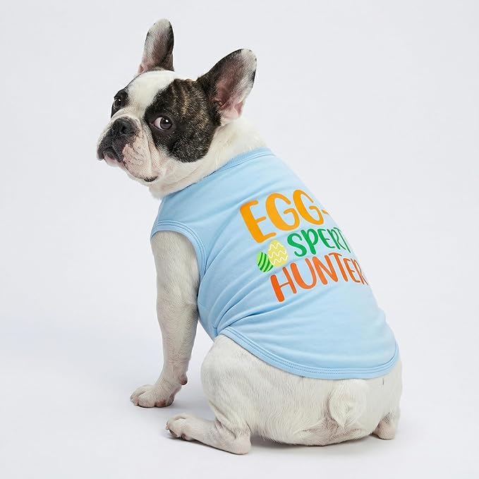 Fitwarm Egg-spert Hunter Dog Easter Outfit, Summer Clothes for Small Dogs Boy Girl, Pet Outfit, Blue, Red, Green, Orange, Small