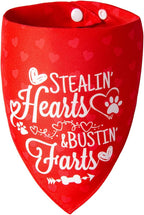 2-in-1 Holiday Dog Bandanas for Valentine's Day - Cute Lettering & Heart Pattern Costume Pet Scarf, 1pack Reversible Snap Button Bandana for Large & Extra Large Breed (75lbs+)