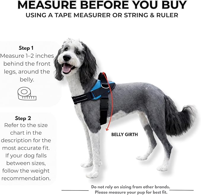 ShawnCo Essential Dog Harness, No-Pull Pet Vest with 3 Leash Clips, No Choke, Reflective, Adjustable and Padded, for Easy Walking and Training for Small, Medium and Large Dogs (Orchid, XS)