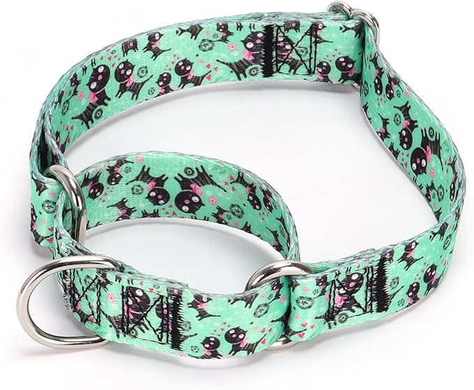 Serijoars Adjustable Martingale Dog Collar Heavy Duty Nylon Dog Collar for Medium Large Dogs Walking Training Boy and Girl Dogs (NO4, M)