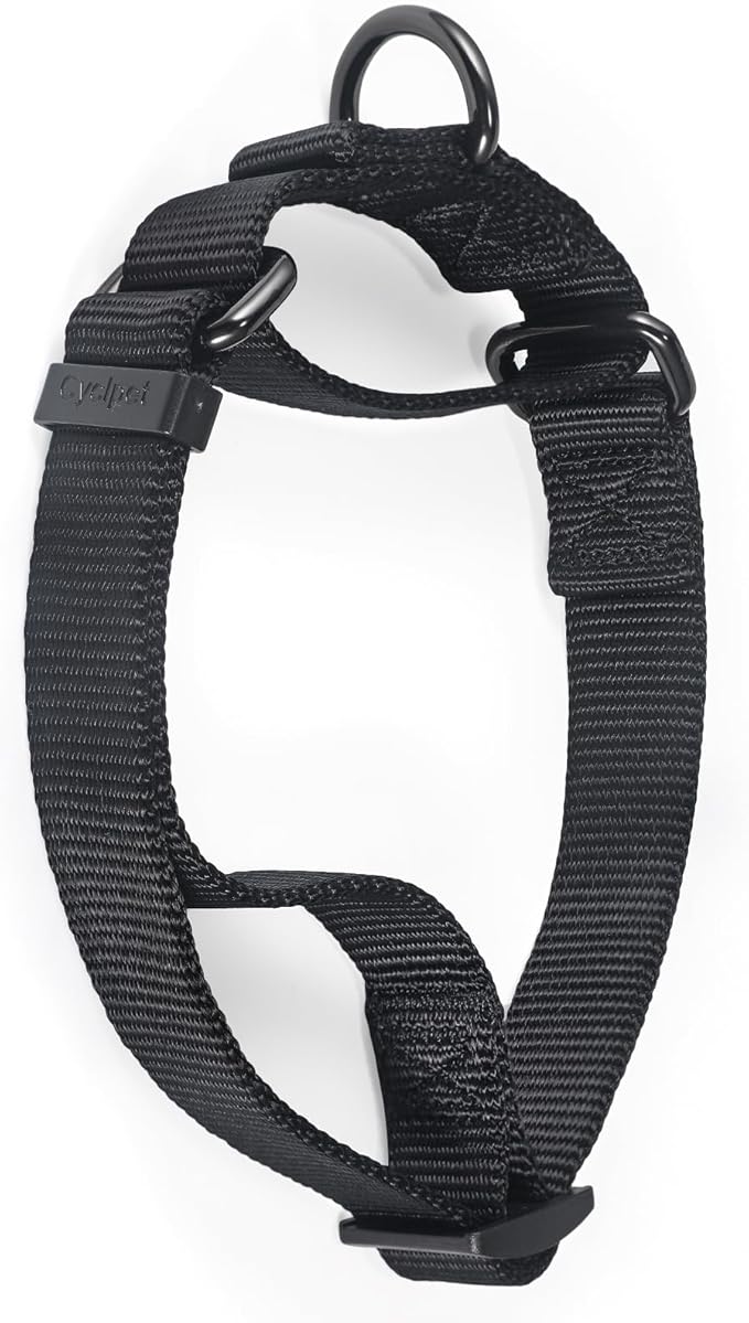 Premium Nylon Adjustable Anti-Escape Martingale Dog Collars,Heavy Duty Metal Harware D-Ring for Large Active Dogs Walking,Training,etc...(Black, Large)