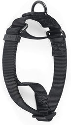 Premium Nylon Adjustable Martingale Dog Collars,Comfort and Silky Dog Collar with Heavy Duty D-Ring for Active Dogs Walking,Training,etc... (Black, Medium)