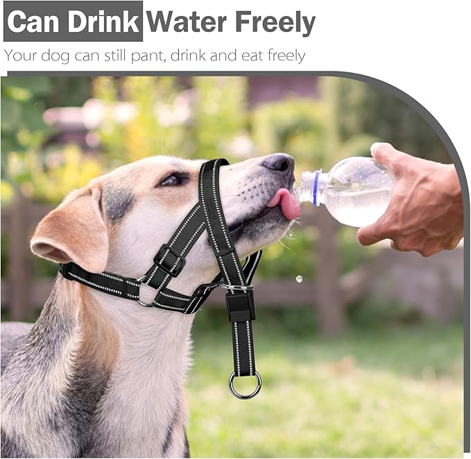 Weesiber No-Pull Dog Head Halter - Adjustable Dog Muzzle Leash, Padded Head Collar for Dogs to Prevent Heavy Pulling On The Leash(Black,M)