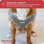 Downtown Pet Supply Step-in Dog Harness – No Pull, Adjustable Padded Mesh with Reflective Trim, Secure Buckle Strap – Comfortable & Breathable Small Dog Harness, Medium, Light Gray