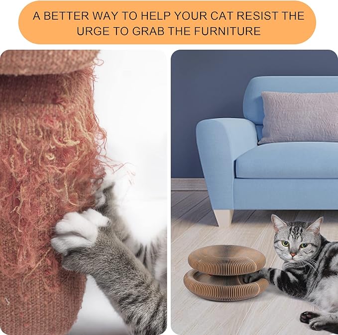Magic Organ Cat Scratching Board, Interactive Scratch Pad with a Ball, Cat Scratcher for Grinding Claw, Recyclable and Durable, Furniture Protector, Retractable, Brown, Reversible