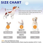 KOOLTAIL Martingale Collar for Dogs for Small Medium Large Dogs, Soft Padded Nylon No Pull Dog Collar with Buckle, Adjustable No Slip Heavy Duty Durable Puppy Training Collar for Boys Girls, Blue M