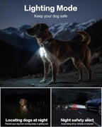 Jugbow Dog Shock Collar - 4200FT Dog Training Collar with Remote for Small Medium Large Dogs, LED Light Electric Collar, IPX8 Waterproof Rechargeable E-Collar (Grey)