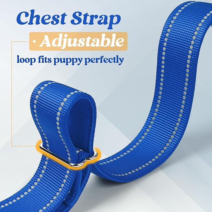 rabbitgoo Dog Harness No Pull, Quick Fit for Large Dogs with Soft Padded Handle, Chest Adjustable Reflective Pet Vest, No Choke Escape Proof for Walking Training, Blue XL