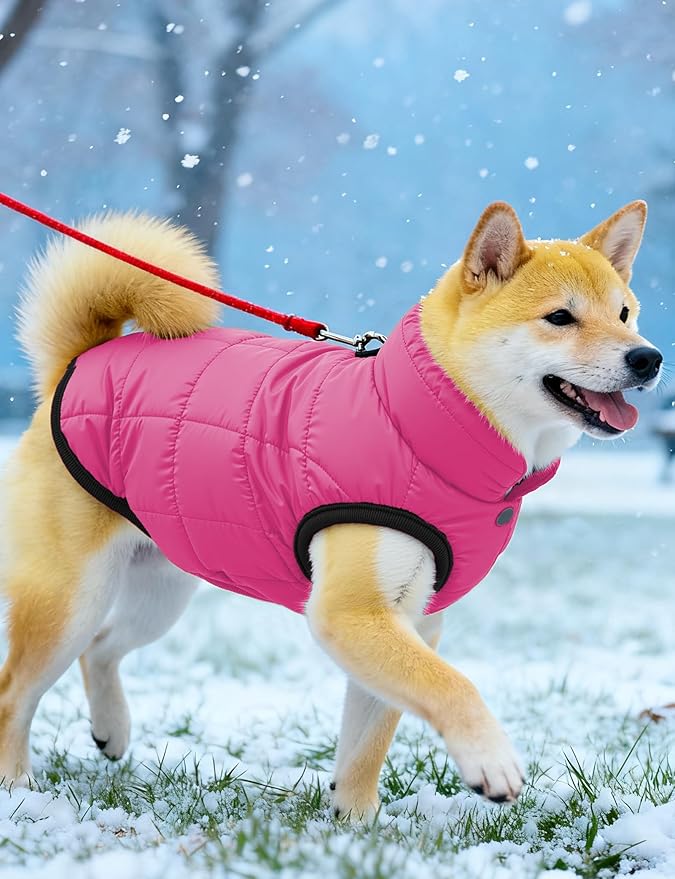 AURUZA Dog Winter Coat, Warm Waterproof Dogs Jacket Small Pet Vest for Medium Dogs Windproof Pet Fleece Vest Snow Jacket for Cold Weather(Hot Pink,M)