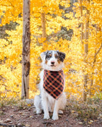Elegant little tail Dog Bandanas - 1Pack Washable Fall Dog Scarf Girl or Boy Square Bib Kerchief Scarf Adjustable Pet Bandana for Small Medium Dogs
