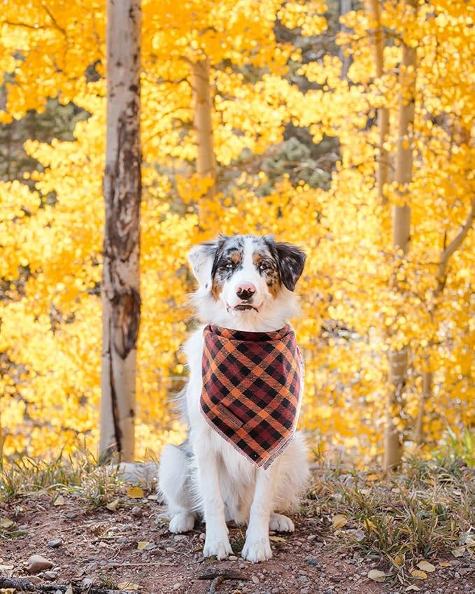 Elegant little tail Dog Bandanas - 1Pack Washable Fall Dog Scarf Girl or Boy Square Bib Kerchief Scarf Adjustable Pet Bandana for Small Medium Dogs