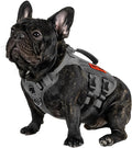 OneTigris Tactical Dog Harness for Small Dogs, No Pull Small Dog Vest Harness with Handles Breathable Military Dogs Molle Vests, Harness for Walking Hiking Training (Grey, XS)